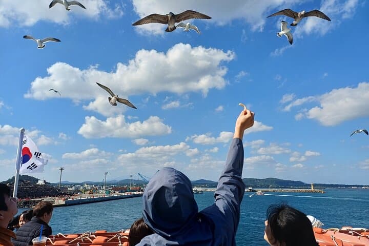 Jeju Udo Electric Bike and Seongsan Ilchulbong Private Tour — Udo Island E‑Bike and Sunrise Peak Day Trip photo 3