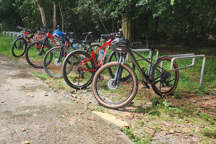 Sambor Prei Kuk Cycling Tour — Ride Through Pre‑Angkor Temples & Rural Cambodia