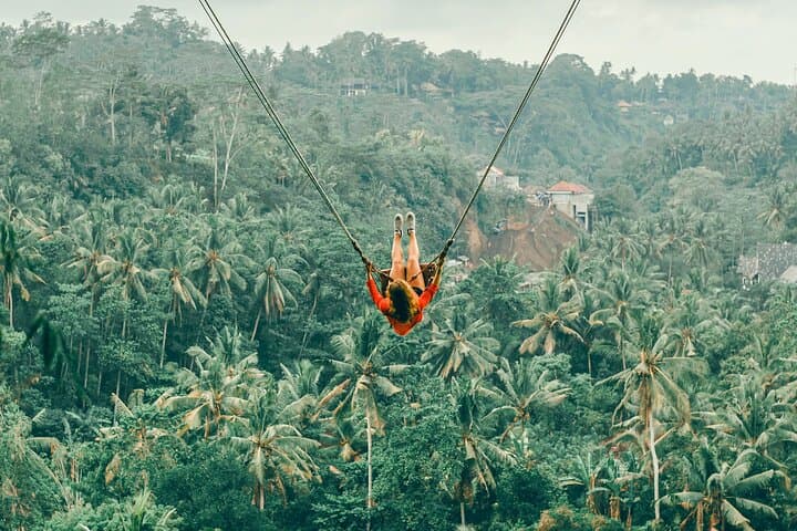 Ubud Jungle Swing, Monkey Forest, Tegalalang Rice Terraces & Tirta Empul Temple Tour photo 5