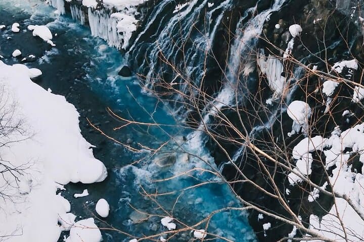 Sapporo Winter Day Tour: Asahiyama Zoo, Blue Pond & Shirahige Falls photo 1