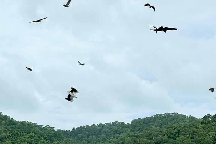Langkawi Island Hopping: Dayang Bunting, Beras Basah & Eagle Watching photo 3