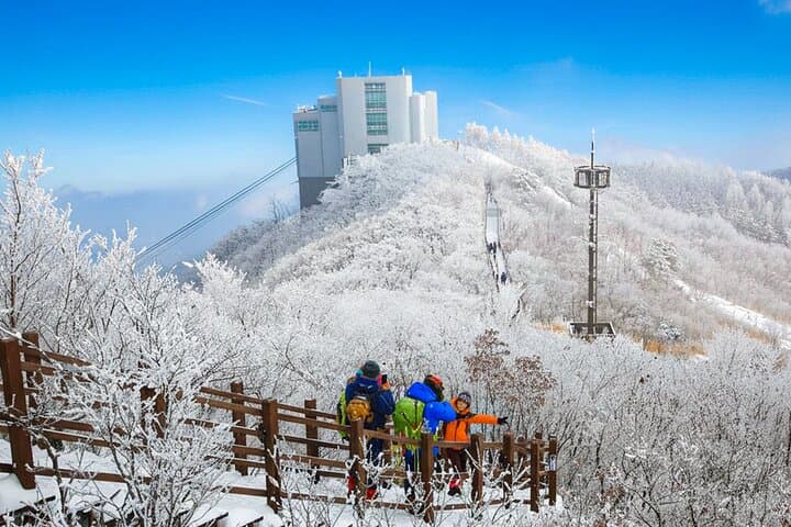 Busan Winter Discovery: Tongdosa, Amethyst Cave & Gamcheon Culture Village