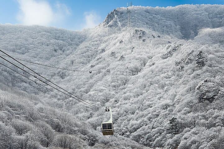 Busan Winter Discovery: Tongdosa, Amethyst Cave & Gamcheon Culture Village photo 3