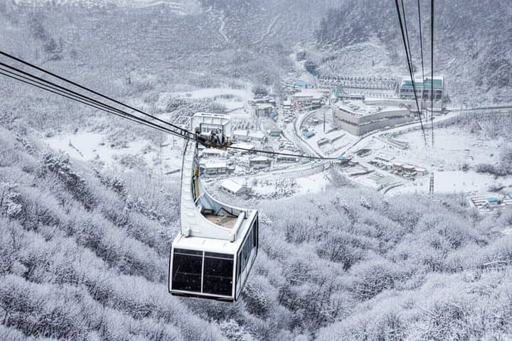 Busan Winter Discovery: Tongdosa, Amethyst Cave & Gamcheon Culture Village photo 4