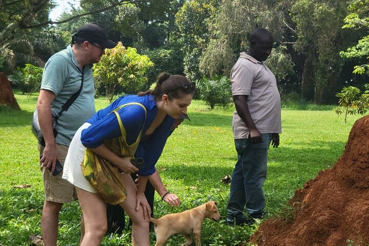 Entebbe Female-Led Walking Tour: Birds, History & Lakeside Culture