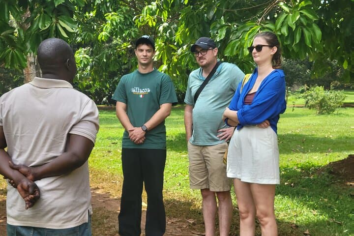 Entebbe Female-Led Walking Tour: Birds, History & Lakeside Culture photo 3