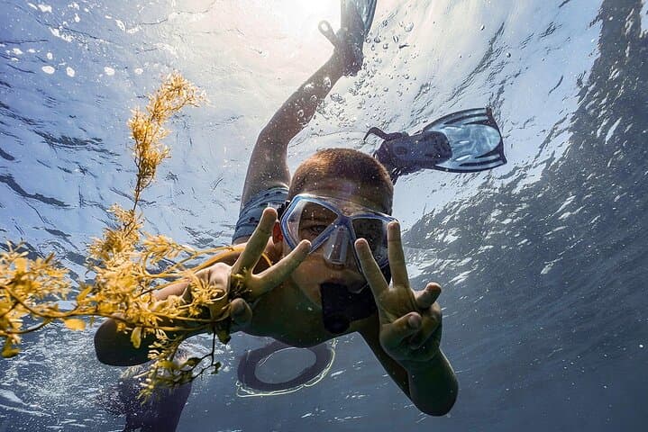 Cham Islands Full-Day Snorkel and Beach Escape from Hoi An photo 3
