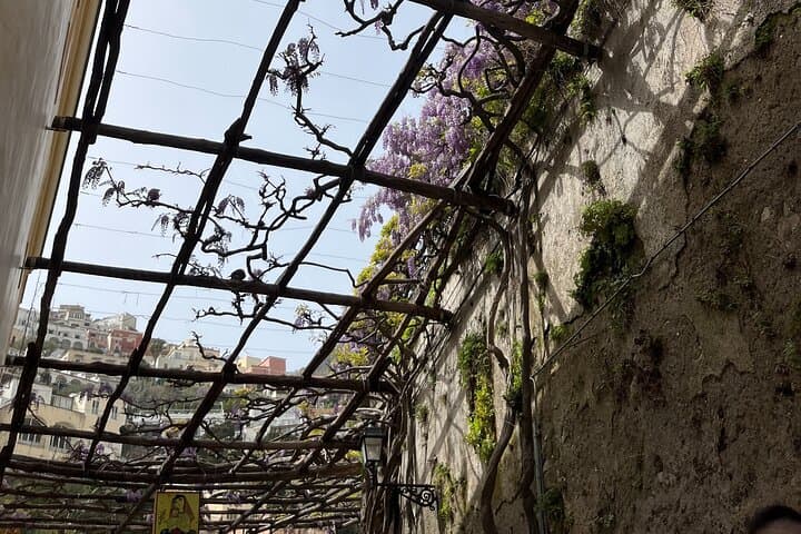 Amalfi Coast & Pompeii Private Day Tour from Naples: Positano, Sorrento & Ruins photo 5