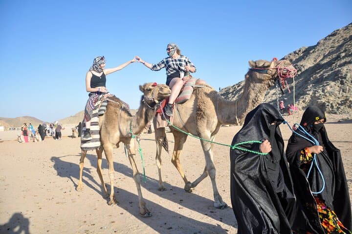 One-Hour Camel Ride in Marsa Alam Desert — Authentic Bedouin Experience
