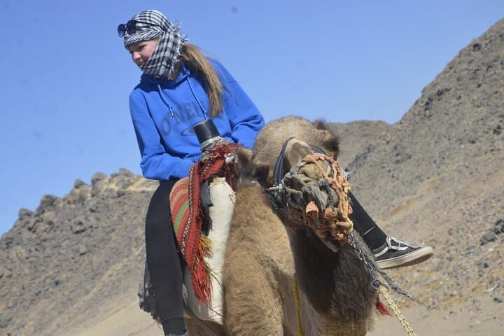 One-Hour Camel Ride in Marsa Alam Desert — Authentic Bedouin Experience photo 4