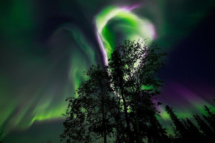 Aurora Borealis Night Experience in Levi: Private Wilderness Cabin & Photo Session photo 2