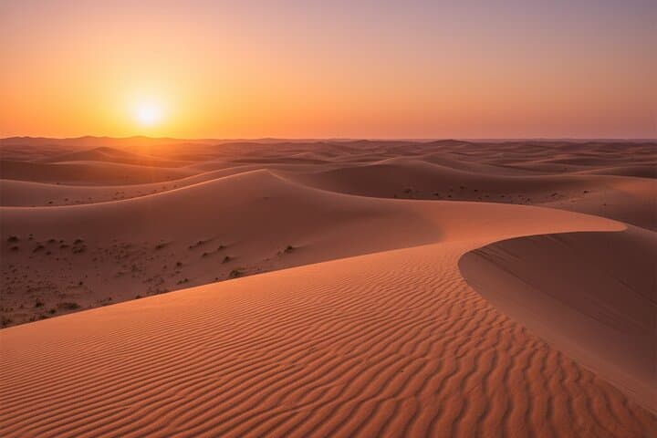 Dubai Evening Desert Safari: Dune Bashing, BBQ Dinner and Live Shows photo 4
