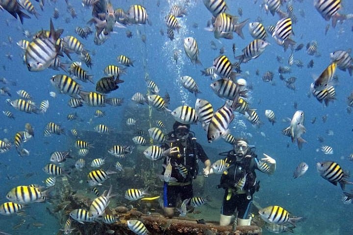 Scuba Diving Discovery in Bayahibe — Crystal-Water Reefs & Atlantic Princess Wreck photo 1