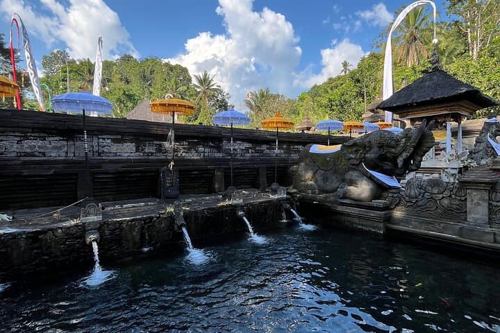 Ubud Day Tour: Temple, Waterfall & Tegalalang Rice Terraces — Private Guided Experience photo 2