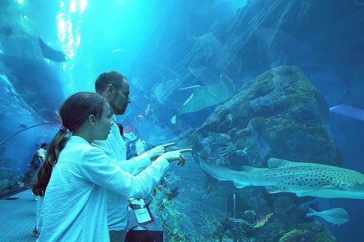 Montjuïc Cable Car and Barcelona Aquarium: Sky-to-Sea Day Pass photo 1