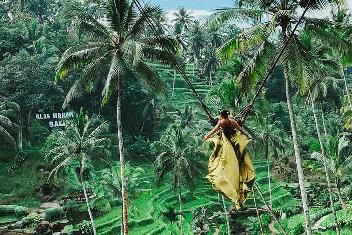 Ubud Private Full-Day Tour: Temples, Rice Terraces & Waterfalls photo 2