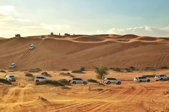 Dubai Evening Desert Safari: Dune Bashing, BBQ Dinner and Live Shows