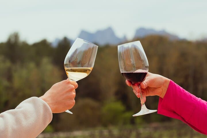 Montserrat Monastery and Organic Winery Private Tour with Catalan Brunch photo 4