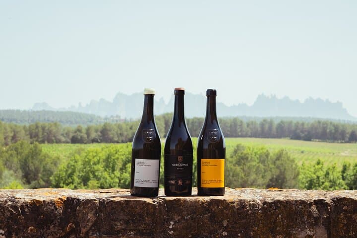 Montserrat Monastery and Organic Winery Private Tour with Catalan Brunch
