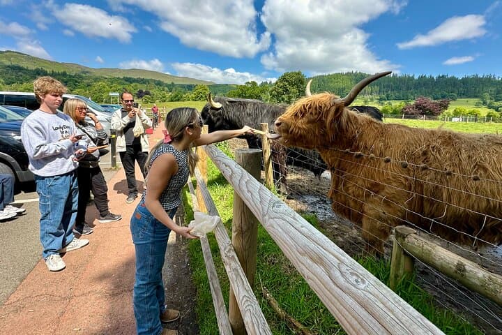 Stirling Castle, The Kelpies & Highland Cows: Private Shore Excursion with Whisky Tasting