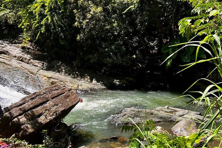 El Yunque Rainforest Waterslides Day Trip from San Juan photo 4