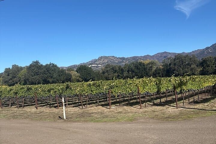 Private Napa Valley Wine Tours: Calistoga Castles & Historic Estates