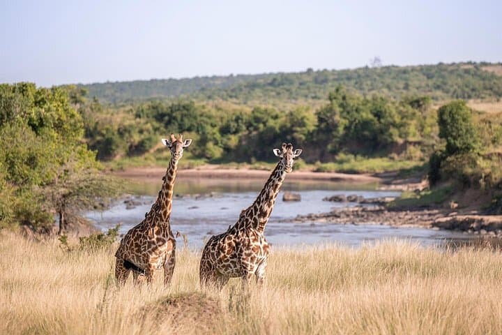 Shared Naivasha Safari Adventure: Lake Naivasha & Hell's Gate Day Trip from Nairobi photo 3