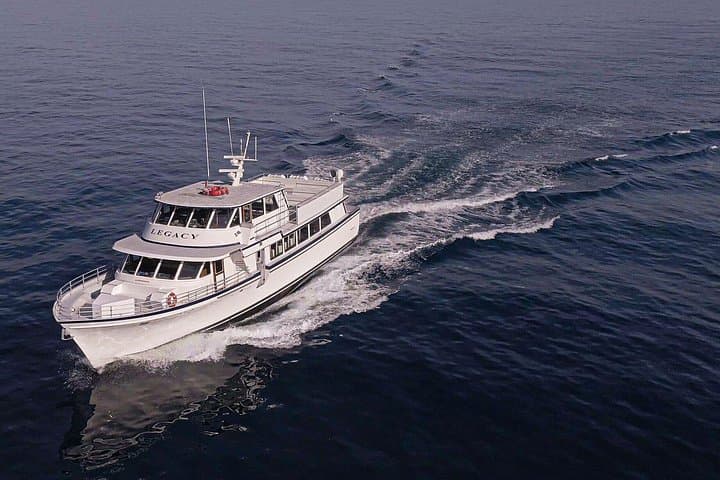 Mission Bay Dolphin Watch Sunset Cruise on the Legacy — San Diego photo 2