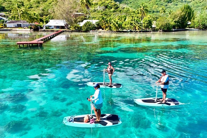 Moorea E-Board Private Lagoon Excursion with Snorkeling
