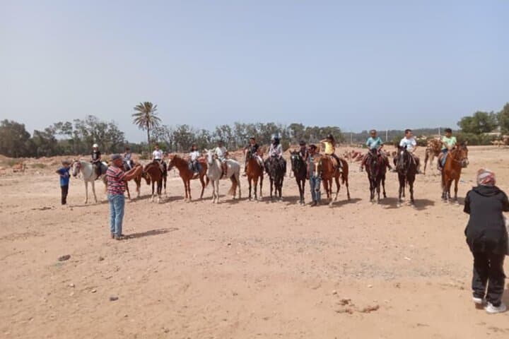 Agadir Horseback Riding Guided: Beaches, Dunes & Eucalyptus Trails photo 2