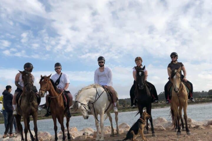 Agadir Horseback Riding Guided: Beaches, Dunes & Eucalyptus Trails photo 3