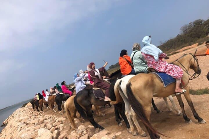 Agadir Horseback Riding Guided: Beaches, Dunes & Eucalyptus Trails photo 4