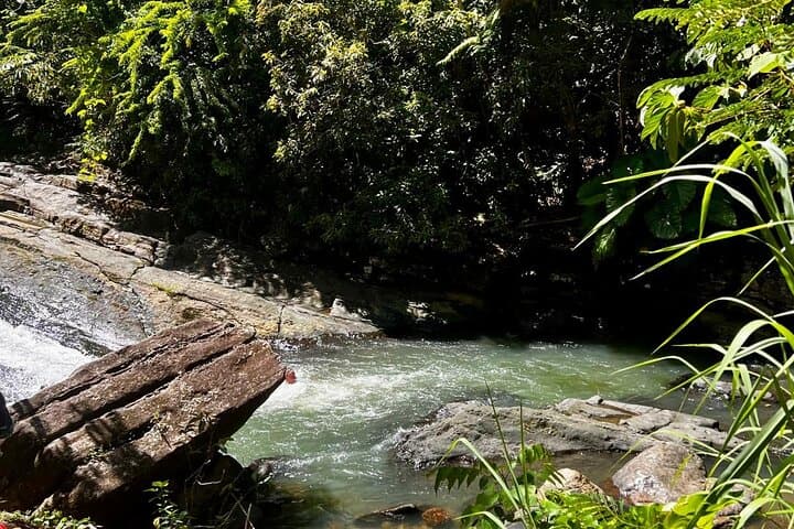 El Yunque Rainforest Waterslides and Luquillo Beach Tour: Natural Rock Slides & Local Eats photo 4