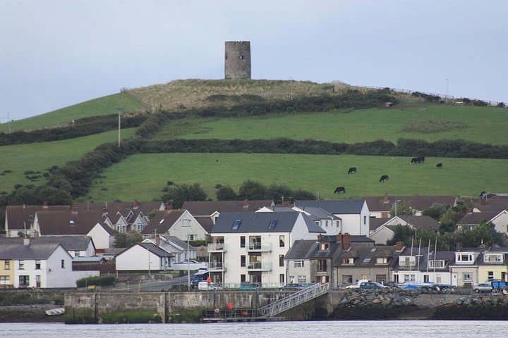 Belfast to Strangford Lough Private Coastal Day Tour — Ards Peninsula Highlights photo 4