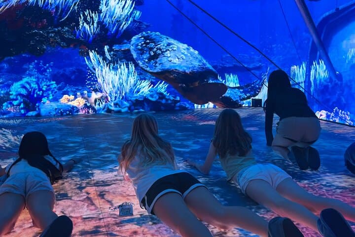 3Mirage 360 Immersion — Rotorua’s Multi‑Sensory Art Adventure photo 6