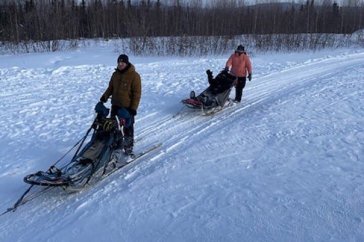Learn to Mush: 2-Hour Dog Mushing School Near Fairbanks, Alaska photo 2