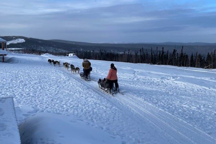 Learn to Mush: 2-Hour Dog Mushing School Near Fairbanks, Alaska photo 4
