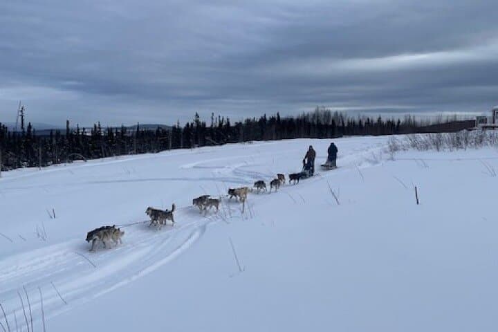 Learn to Mush: 2-Hour Dog Mushing School Near Fairbanks, Alaska photo 1