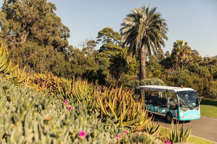 Melbourne Gardens Explorer: 30-Min Open-Air Minibus Tour of Royal Botanic Gardens photo 6