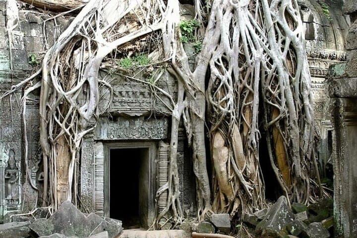 Angkor Wat Full-Day Private Tour: Bayon, Ta Prohm & Phnom Bakheng Highlights photo 2