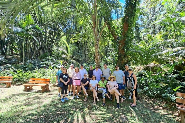 Private Nadi Temple Tour: Temple, Market, Orchids & Sabeto Mud Pools photo 4