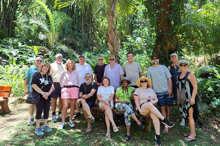 Private Nadi Temple Tour: Temple, Market, Orchids & Sabeto Mud Pools photo 5
