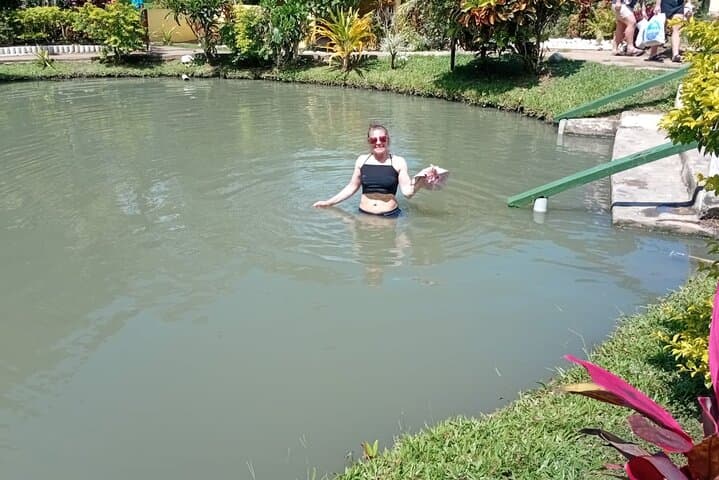 Nadi Half-Day Sightseeing Tour — Temple, Market, Orchids & Mud Pools photo 5