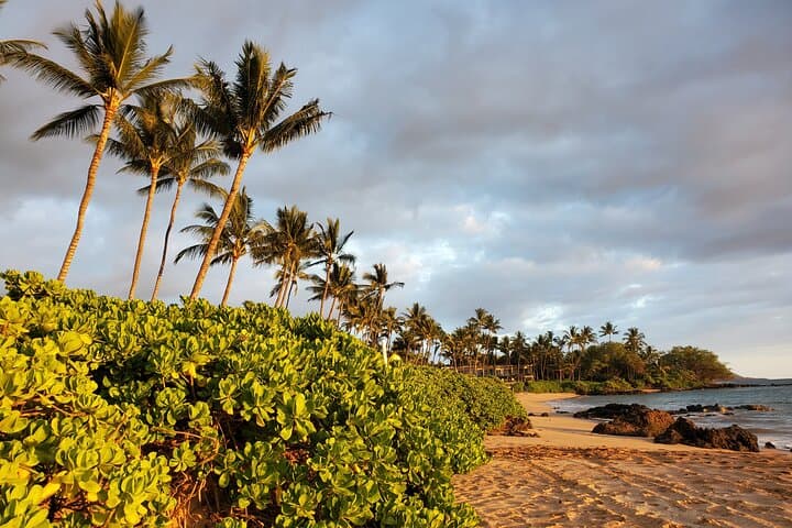 Wailea Self-Discovery Session: Numerology & Intuitive Guidance in Maui photo 6