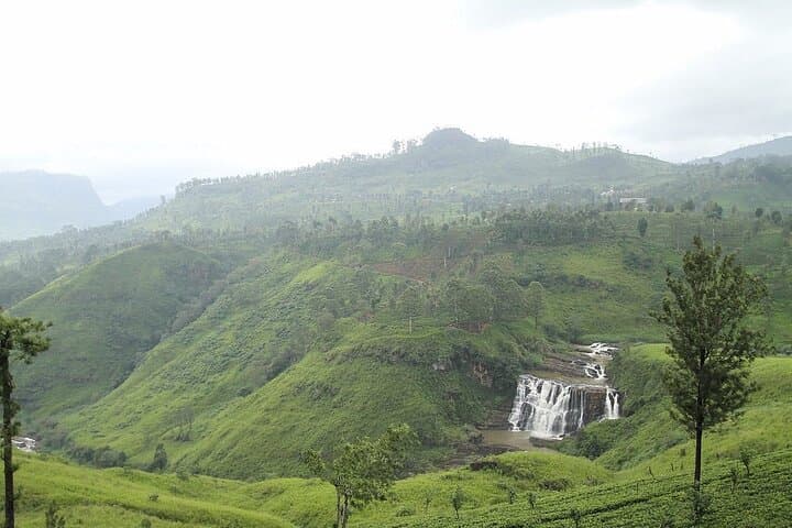 Sri Lanka 7-Day South Coast & Highlands Private Tour photo 6
