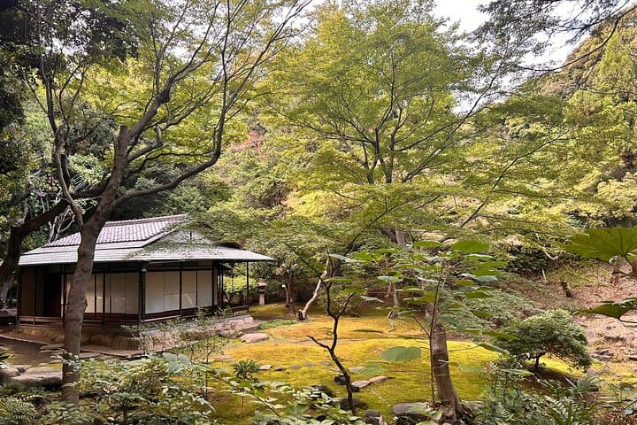 Tokyo Gardens by E-Bike: Full-Day Tailored Tour with a Professional Gardener photo 5