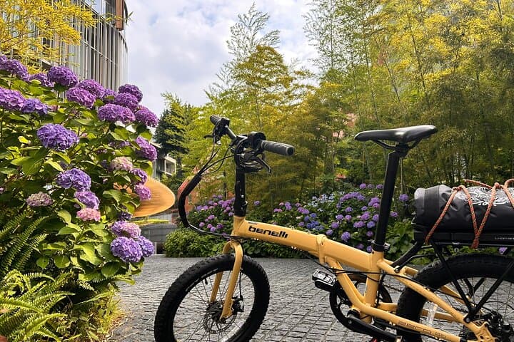 Tokyo Gardens by E-Bike: Full-Day Tailored Tour with a Professional Gardener photo 3