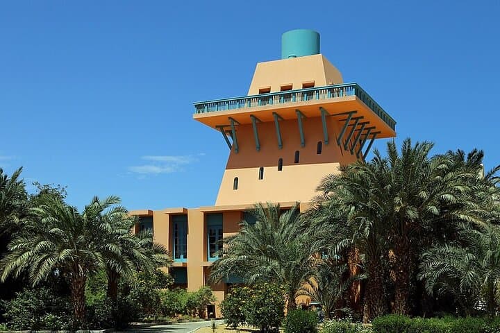 Hurghada & El Gouna Private City Tour — Mosque, Fish Market and Marina Views