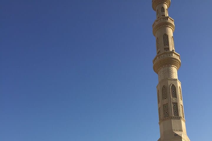 Hurghada & El Gouna Private City Tour — Mosque, Fish Market and Marina Views photo 5
