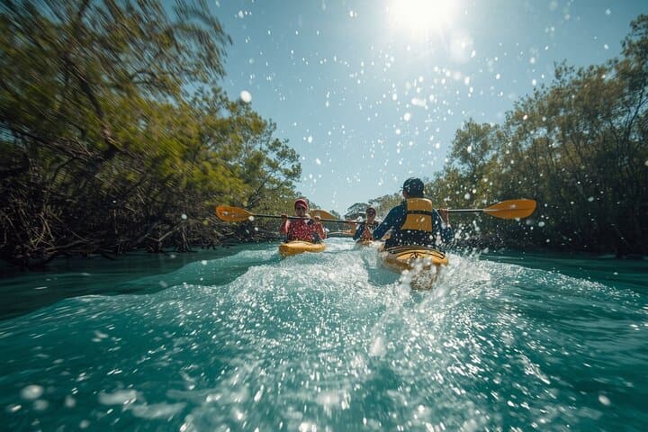 Kayaking Purple Island Qatar: 4-Hour Mangrove Tour from Doha photo 2
